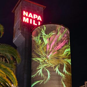 Napa Lighted Art Festival 2020