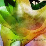 Gallery 2 - Nature's Palette, Art by Maggy Walton