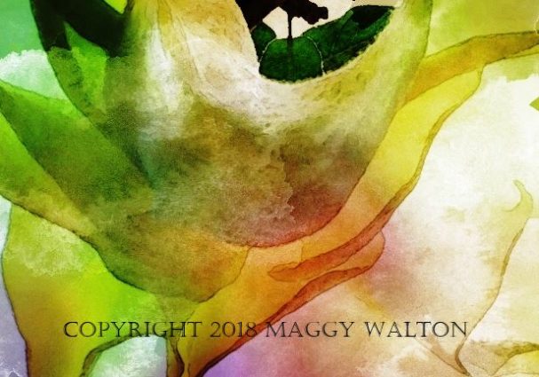 Gallery 2 - Nature's Palette, Art by Maggy Walton