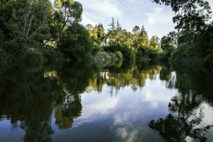 Napa River: A Community-curated Exhibition