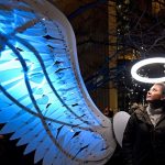 Ward Spangler Performs at Napa Lighted Art Festival
