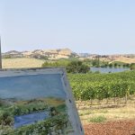 Painting en Plein Air with Wine & Cheese at Cuvaison Winery