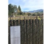 Calistoga Art Center - Self Guided Tour: Poetry Open Call