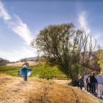 Shakespeare Napa Valley Announces Auditions for Twelfth Night